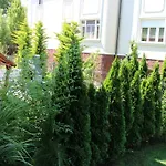 Bamboo Wellness * Siofok