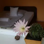 Bamboo Wellness