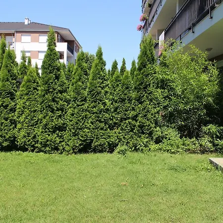 Bamboo Wellness Siófok