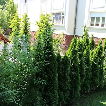 Bamboo Wellness * Siófok