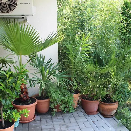 شقة Bamboo Wellness *