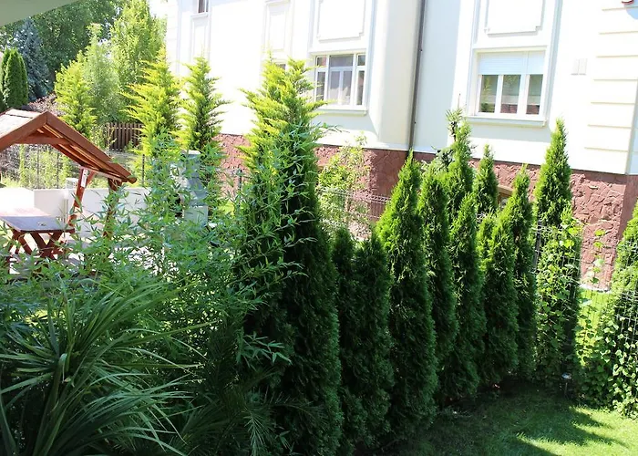 Bamboo Wellness * シオーフォク