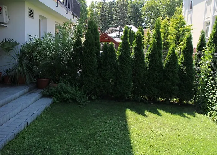 Bamboo Wellness アパート