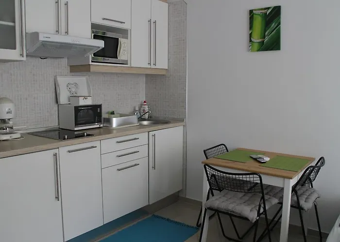 Bamboo Wellness * シオーフォク