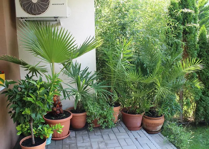 Lägenhet Bamboo Wellness *